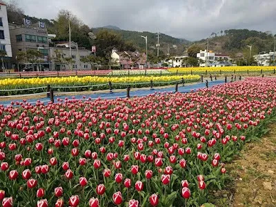 Triathlon Square