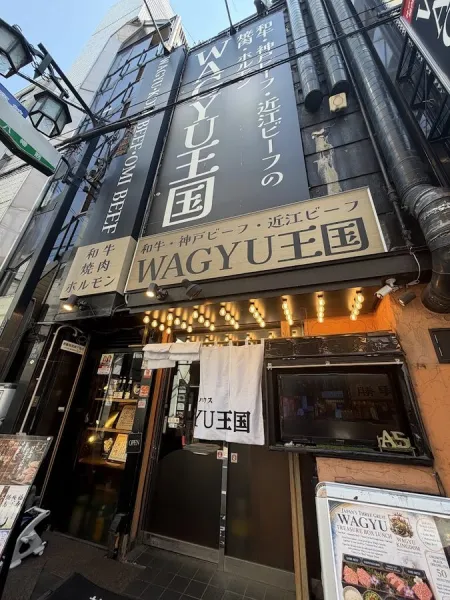 Kobe Beef Wagyu House Wagyu Kingdom namba yakiniku