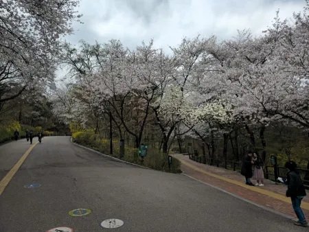 Namsan Dulle-gil
