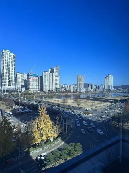 Taehwagang Riverside (Sinjeong-dong)