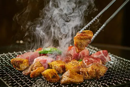 Meat Grillers