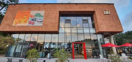 Hollys Jeju Yeonbuk-ro DI Branch