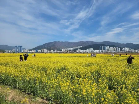 대저생태공원