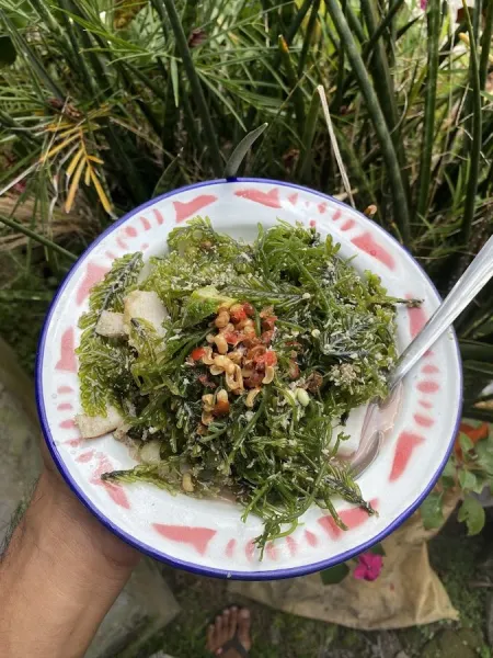 Waroeng DT