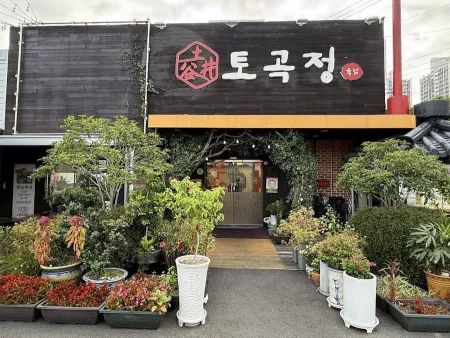 Togok Sikyuk Sikdang