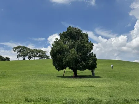 Lone Tree (Nahollo Namu) Hill