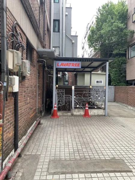 LAVATREE APGUJUNG