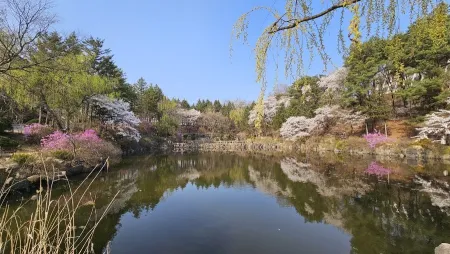 연적지