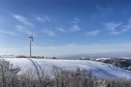 Eco Green Campus [Daegwallyeong Samyang Ranch]