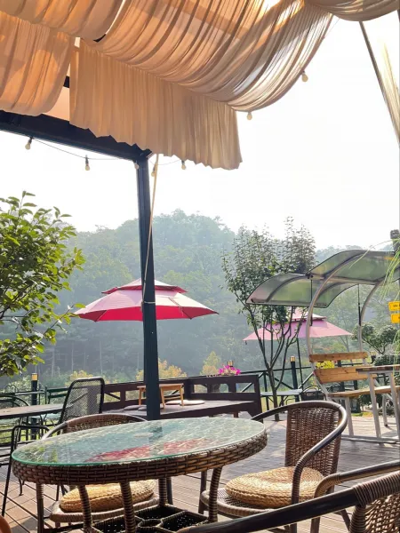Pino Cafe