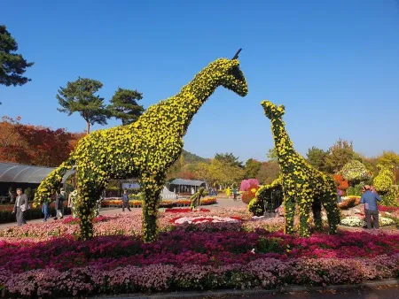 Daegu Arboretum