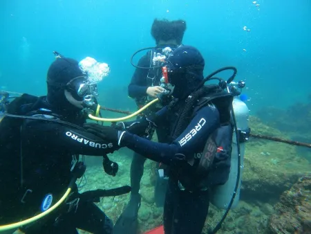 COZYDIVE