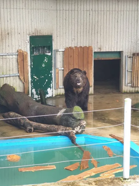 Jinyangho Zoo