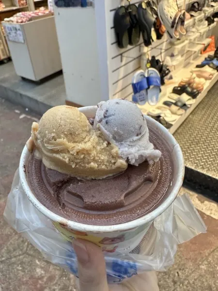 Taiwanese Handmade Fruit Ice Cream