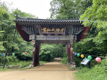 Woljeongsa Temple & Fir Tree Forest