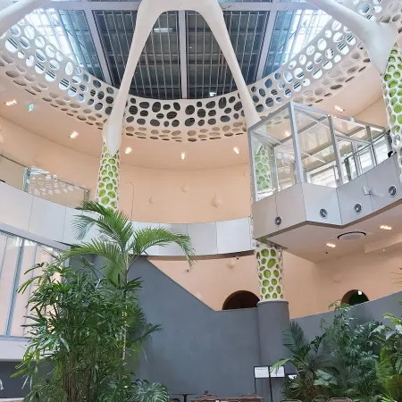 Ananti Club Jeju