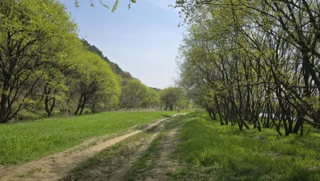 Wolpyeong Park Wetland Path