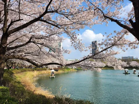 Seokchon Lake Park