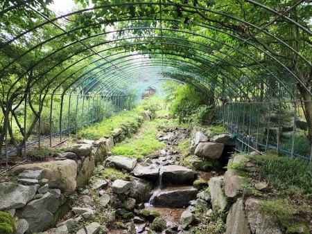 Seokmodo Arboretum