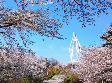 Wolmyeong Park