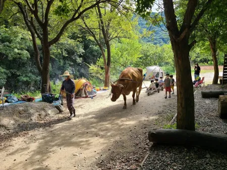 Sosori Farm