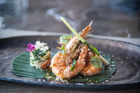 Epicurean Nests