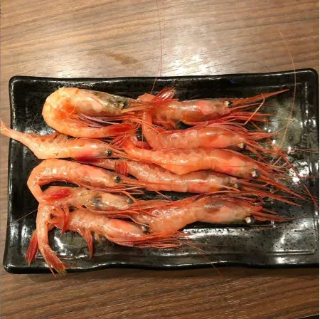 Kaikou