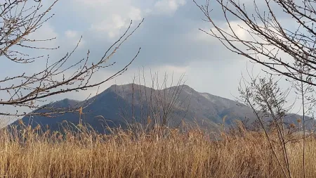 유메
