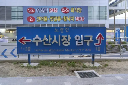 Dokdo Susan