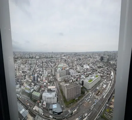 SkyTree View Point