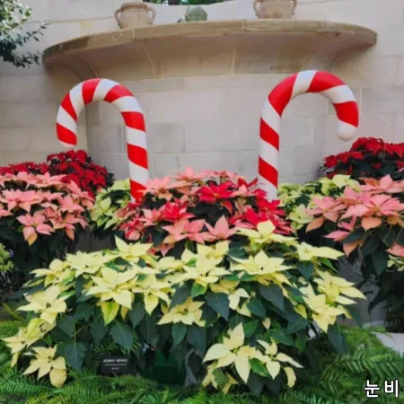 Seoul Botanic Park