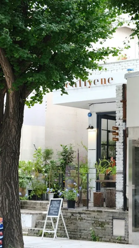 Leaflyene house