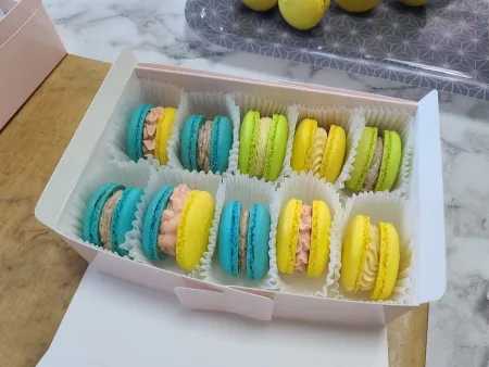 Kkobugi Macaron