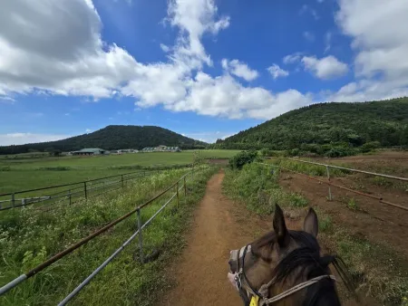 Jeju Oreum Seungma Land