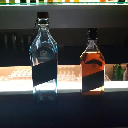 アレックスネスト