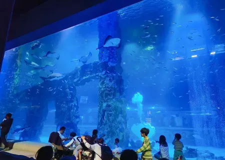 LOTTE WORLD AQUARIUM