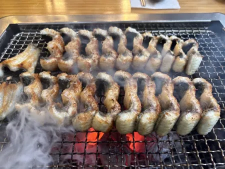삼일민물장어