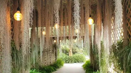 Gangneung Solhyang Arboretum