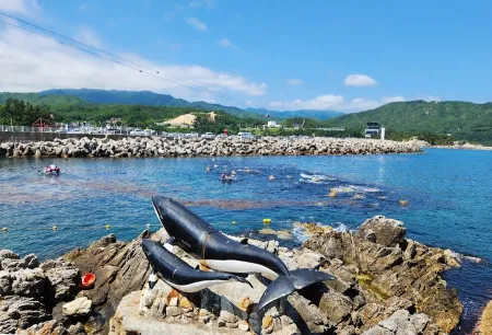Jangho Port