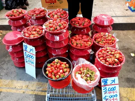 고분다리 전통시장