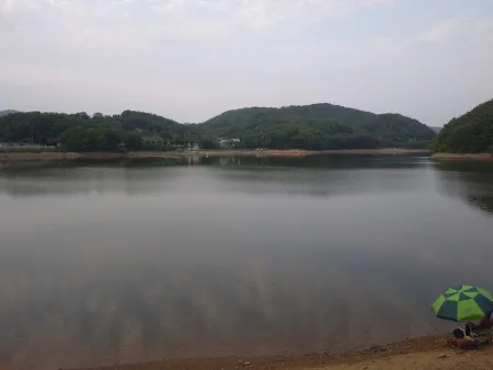 한스시