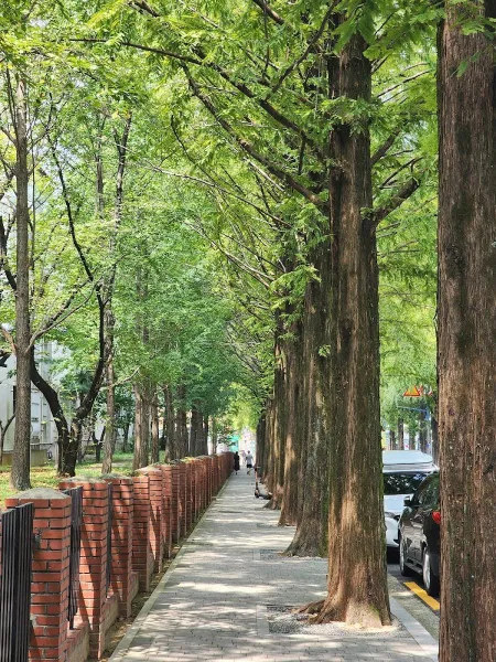 Changwon Garosu-gil