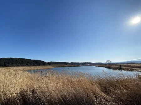 Yangyang Namdaecheon Eoksae Pyeongwon