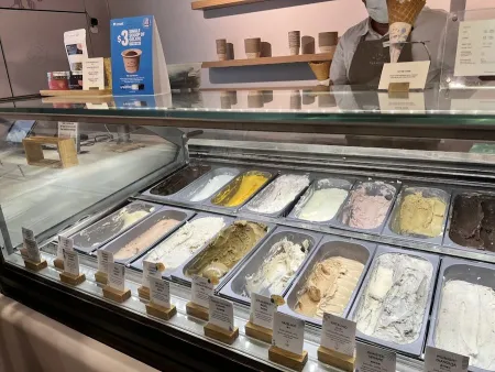Birds of Paradise Gelato Boutique – Katong (East Coast)