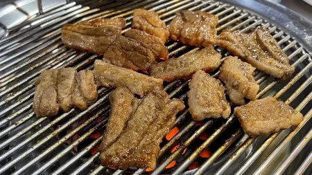 Sajik Ilmi
