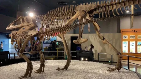 FUJI Nagoya Science Museum