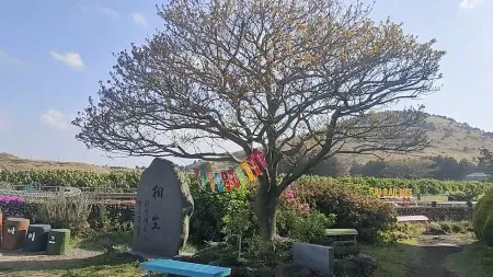 濟州鐵路公園