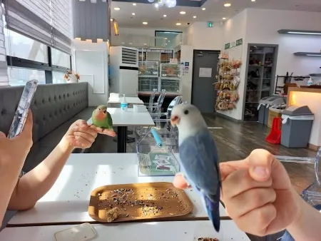 Birdree Daejeon Branch
