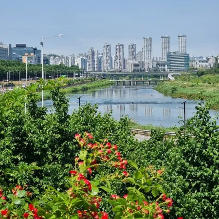 Songjeongdong Embankment Trail