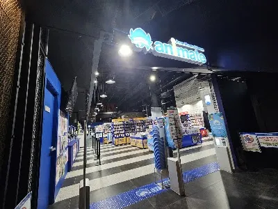 Animate Busan Branch